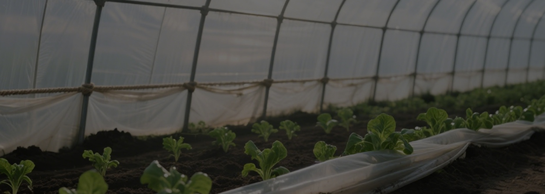 Prodotti chimici di uso quotidiano